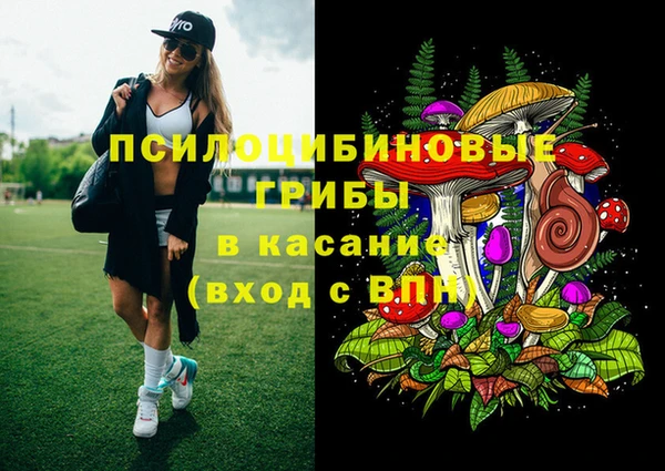 PSILOCYBIN Каменногорск