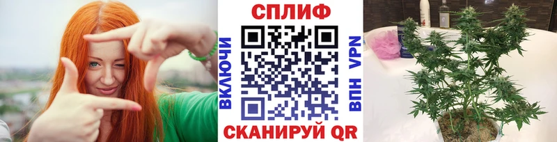 Купить закладки  Калач  Канабис ГИДРОПОН 